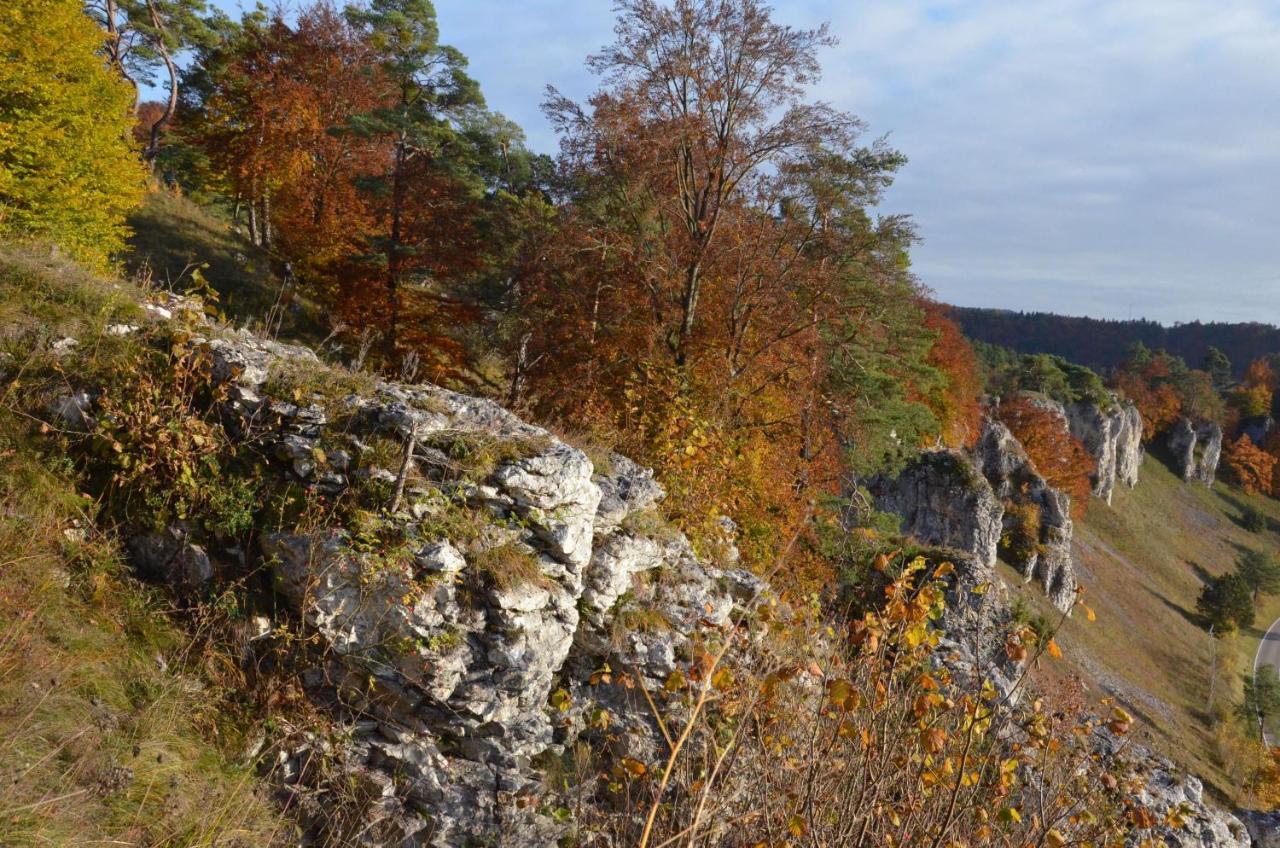 Gasthof Krone Kinding Zewnętrze zdjęcie